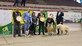 21.ª ECN Beja - Best in Show