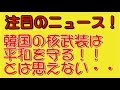 韓国の核武装は平和を守る！とは思えない・・・