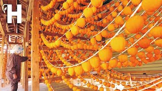 How Japanese Produce Millions Of Dried Persimmon (Hoshigaki) - Persimmon Harvesting @HappyFarm85​