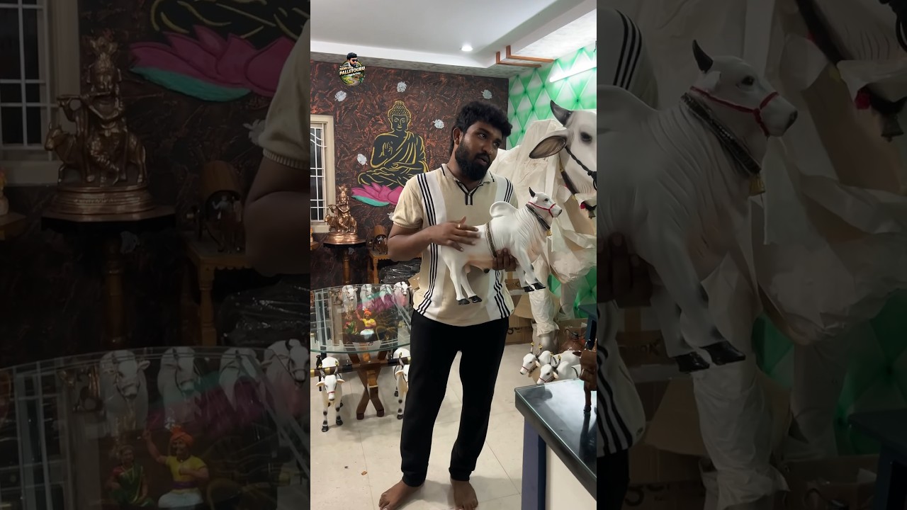 Dagguluru Bullkart art hand made