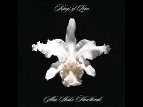 Kings of leon-Taper jean girl