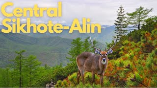 Celebrity Exploring the Untamed Beauty of Central Sikhote-Alin Net Worth