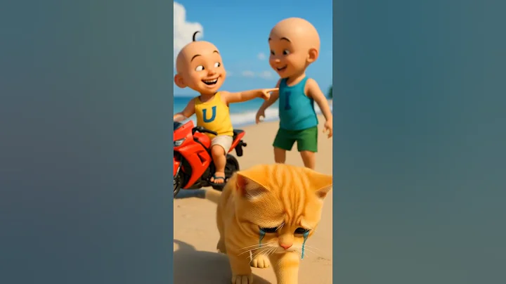 Video 11566781: kitten toys, kitten show, little kitten, funny cat