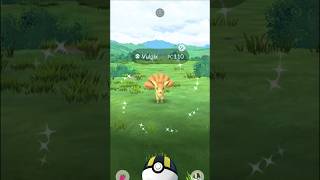 Shiny Vulpix Evolution Fire Vs Ice