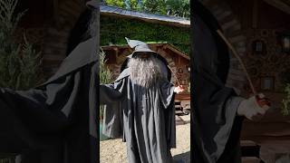 Tiny House of Dragons?! #shorts