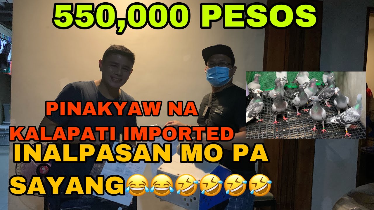 TAKE ALL NA IMPORTED KALAPATI 550k GASTOS