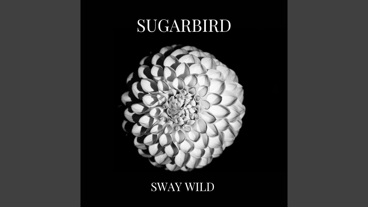 Watch Sugarbird on YouTube Watch Sugarbird on YouTube