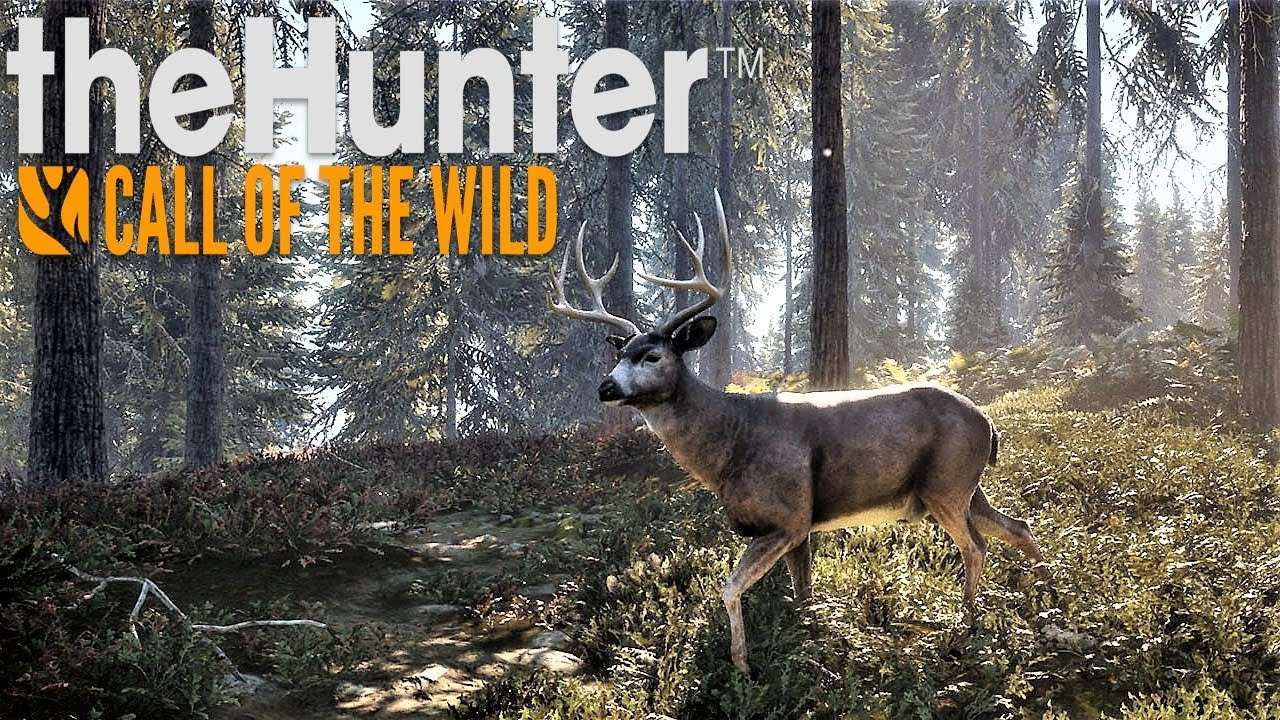 Хантер калл оф вилд. The Hunter Call of the Wild. The Hunter Call of the Wild собака. The Hunter Call of the охота. THEHUNTER: Call of the Wild превью.