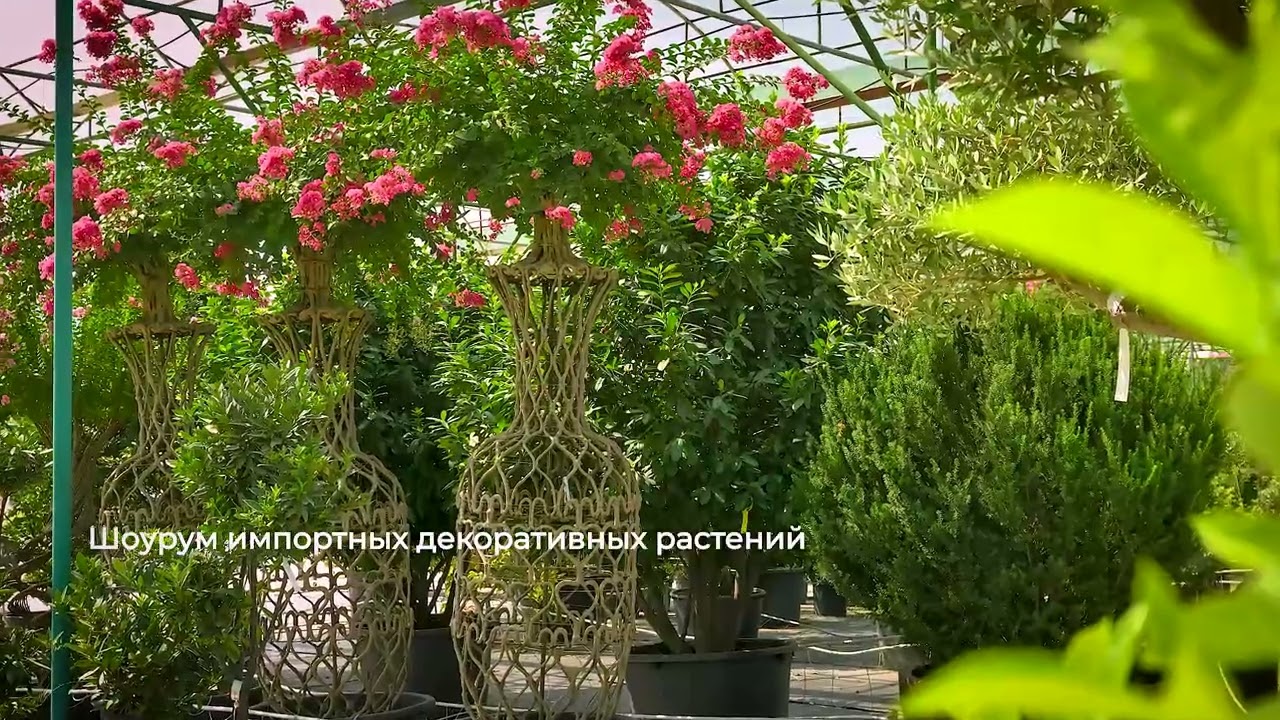 О компании Flowers Garden