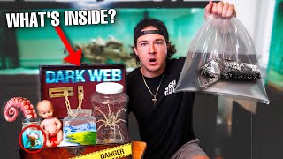 Ordering The CREEPIEST FISH I'VE EVER OWNED OFF THE DARK WEB... (vampire fish)