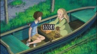 [escort] ● 1시간 ● 뽀글뽀글🐬