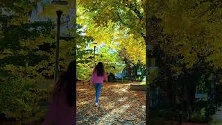 Fall colors at ANU #phdlife #labcoat #phd #students
