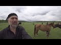 Лошадиная Ферма 2 Чистокровных Лошадей, Чечня.
Chechnya Horse Farm part 2