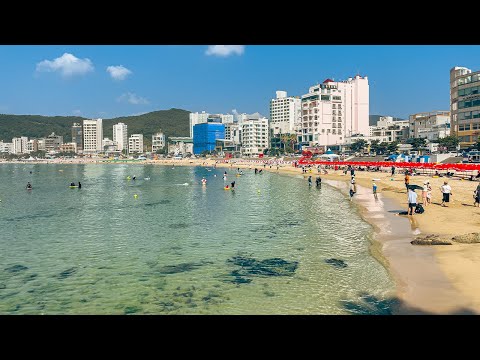 Morning Beach Relaxing Walk and ASMR Sounds | Travel Korea 4K HDR