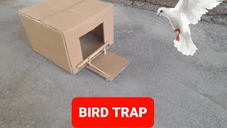 How to make bird trap with box2    آموزش ساخت تله پرنده با جعبه۲