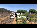 Sand to green  la culture darbres fruitiers et dherbes aromatiques pour transformer le dsert