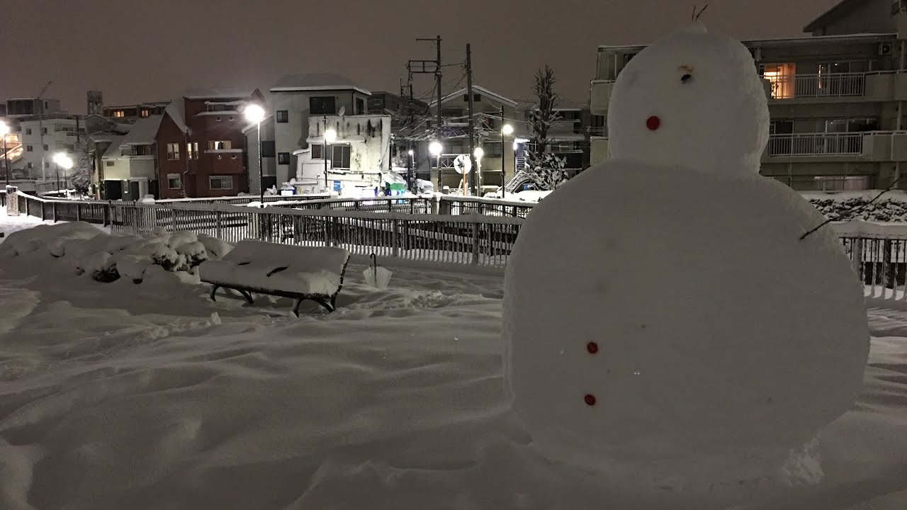 Tokyo weather: Snow storm SMASHES Tokyo for first time in 4 years