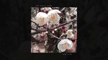 The Sulis Club - New Life (Official Audio)