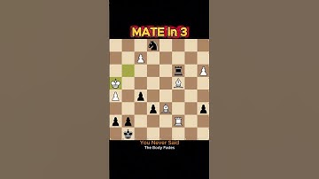 Mate in 3 | Chess Pulse — Episode 28 | The Body Fades | The fire burns in quieter ways