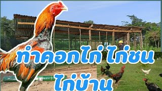 ทำคอกไก่ ไก่ชนไก่บ้าน #ตาข่ายพลาสติก #บ้านสวน