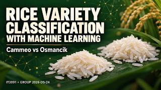 Rice Variety Classification Using Machine Learning | Cammeo vs Osmancik | IT3091 Project Demo