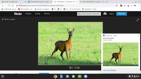 Adding Photos to Google Docs on a chromebook