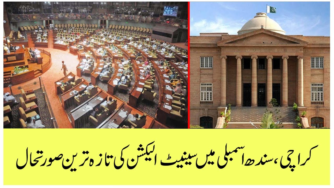 The Latest Situation Of Senate Elections In Sindh Assembly