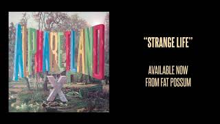 Video thumbnail of "X - Strange Life (Official Audio)"