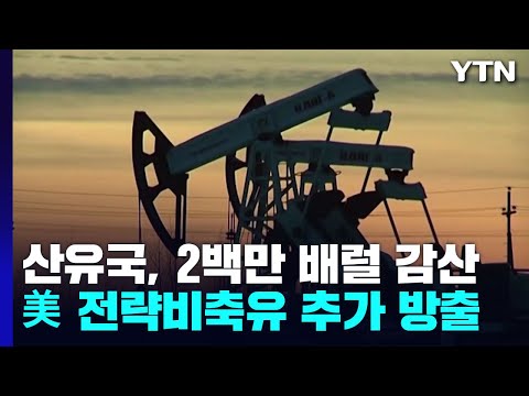 산유국들, 2백만 <strong>배럴</strong> 감산 합의...바이든, 1천만 <strong>배럴</strong> 전략비축유 방출 지시 / YTN