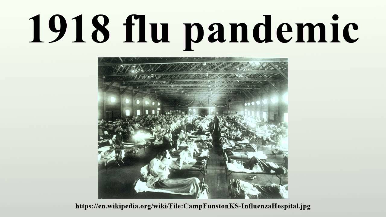 the 1918 spanish influenza pandemic This year is the 100th anniversary of the spanish flu pandemic of 1918 estimates about its impact vary but when you read that a third of the. the 1918 spanish influenza pandemic This year is the 100th anniversary of the spanish flu pandemic of 1918 estimates about its impact vary but when you read that a third of the.