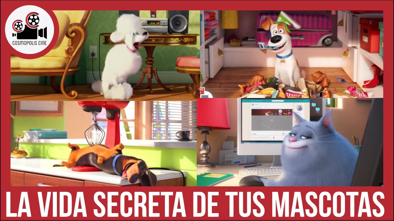 LA VIDA SECRETA DE TUS MASCOTAS COMPLETA - YouTube