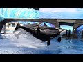 Orca Encounter (Full Show) - SeaWorld Orlando - February 27, 2021