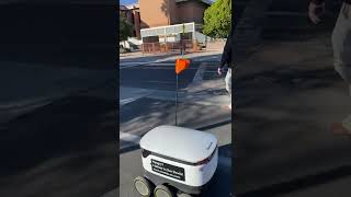Asu Pods - Robot Food Delivery