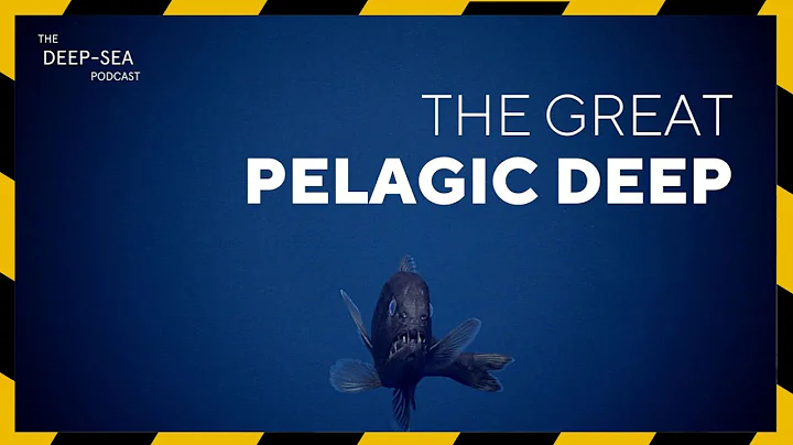 PRESSURISED: 024  The pelagic deep sea with Tracey...