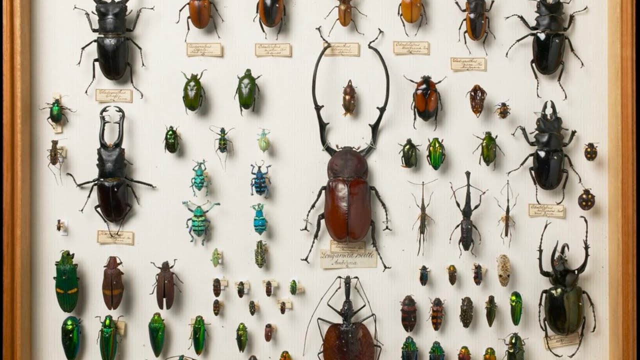 👉 You Won’t Believe What’s Inside This Museum in Lucerne