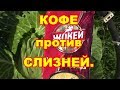 Кофе против слизней,как часто надо обрабатывать.