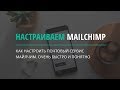 Настройки майлчимп. Делаем рассылку на Mailchimp