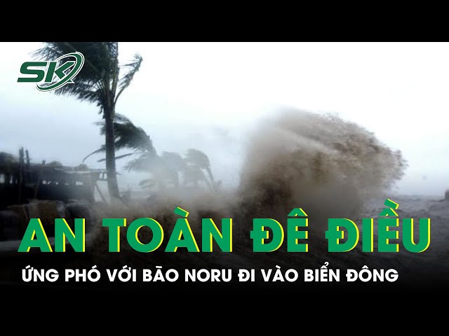 Ứng Phó Với Bão Noru Đi Vào Biển Đông: Tăng Cường Đảm Bảo An Toàn Đê Điều | SKĐS