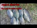 mancing nila cuaca ekstrim inilah yang terjadi #mancingnilaliaran