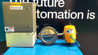 200 NB Pneumatic CT Valve | Industrial Solutions | Cybernetik Product Catalogue