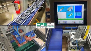 CPS Case Packing Systems - Pick and place case packer CLP