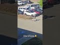 Most normal day in Florida