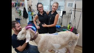 GARY GETS DOUBLE BLINGED