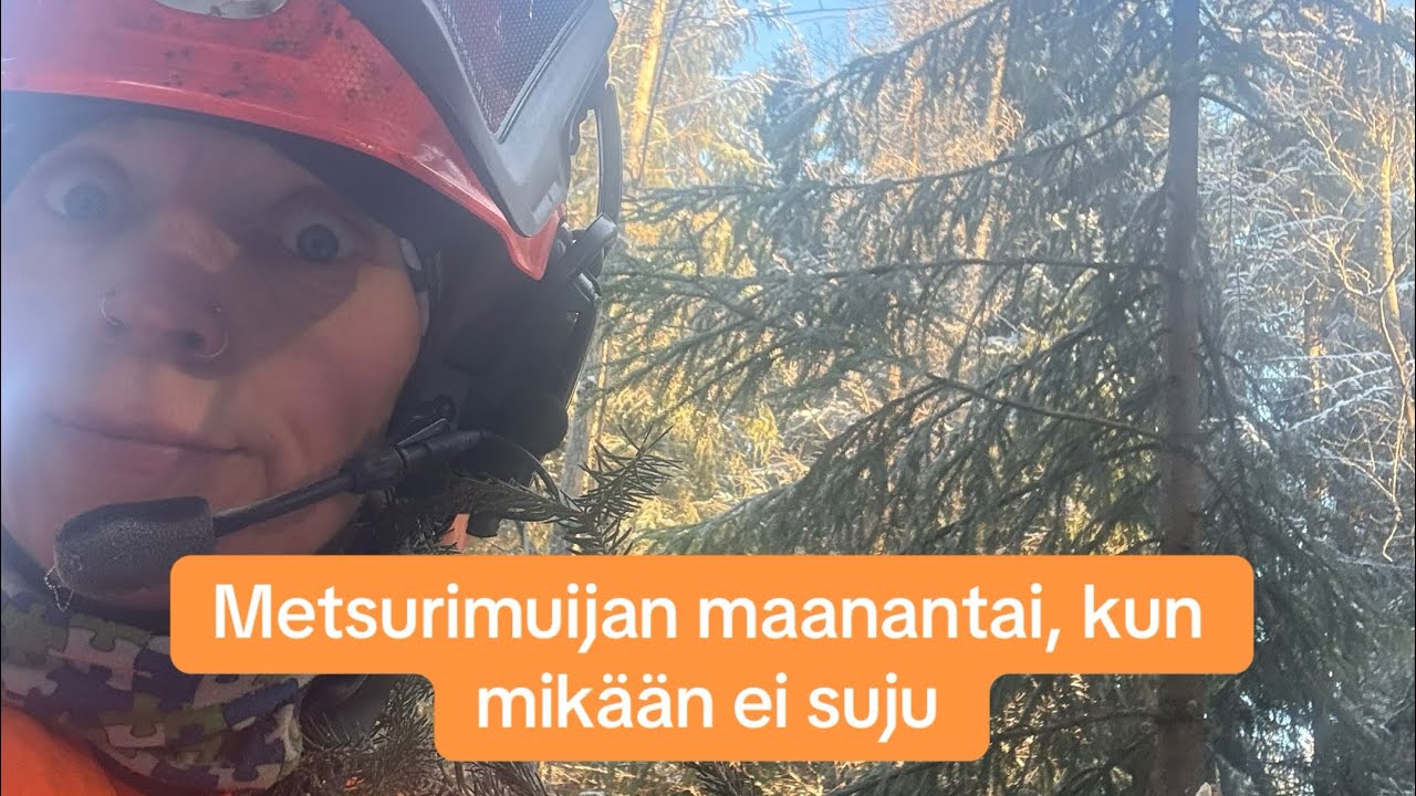 Metsurimuijan maanantai, kun moottorisahakaan ei käynnisty 