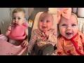 baby videos soo funny