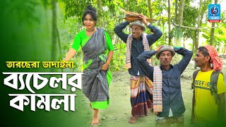 ব্যচেলর কামলা | Bachelor kamla | তারছেরা ভাদাইমা | Tarchera Vadaima New Comedy Koutuk Video 2021