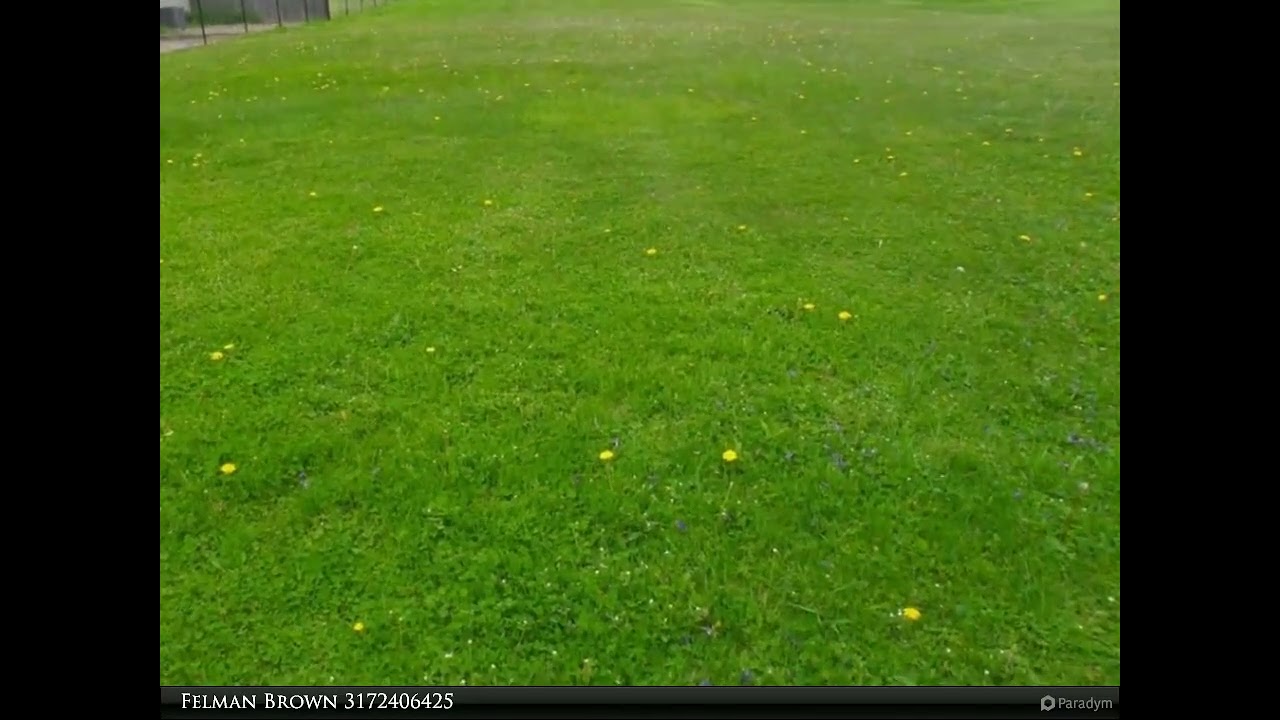 Homes for Sale - 320 Peach Tree Lane, Indianapolis, IN