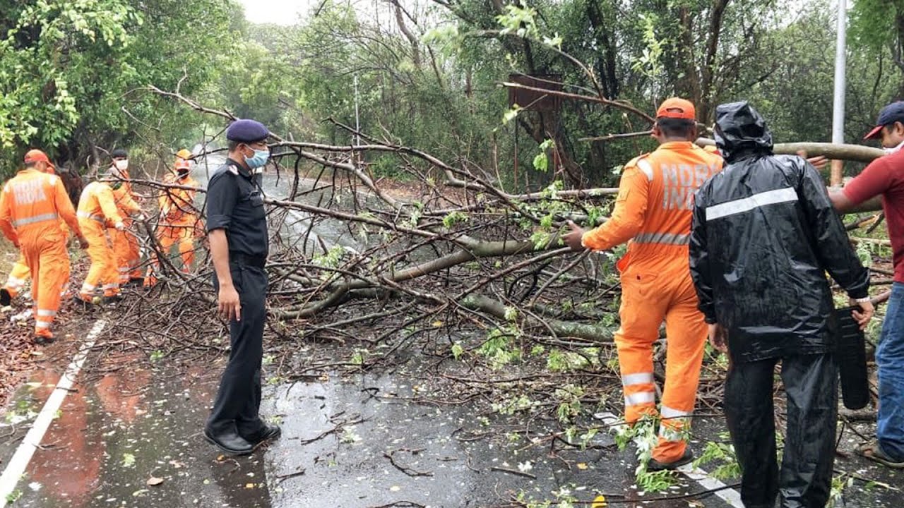 Watch: Cyclone Nisarga landfall leaves trail of destruction