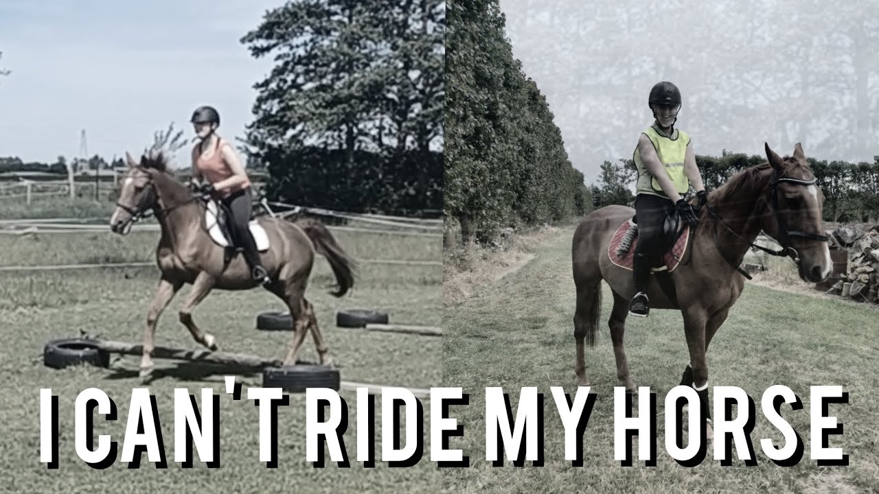 I Can't Ride My Horse AS EQUESTRIAN YouTube