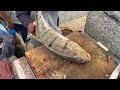 Spanish Mackerel/Surma Fish Filleting|| Bluefin Surma Fish Cutting Skills|| Fastest Surma Fish Cut